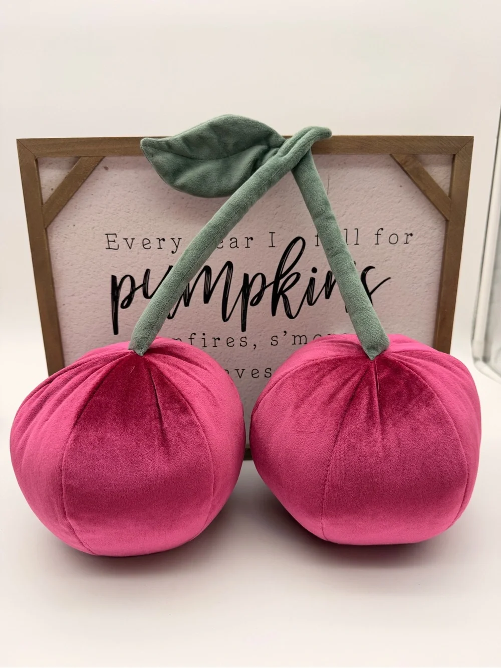 Target Velvet Pink Cherry Pillow Duo with Green Stem